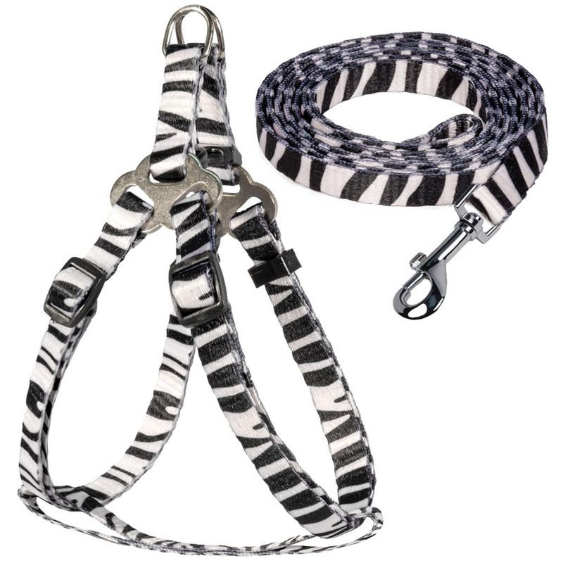 Комплект шлейка и поводок "Абстракция", нейлон XS