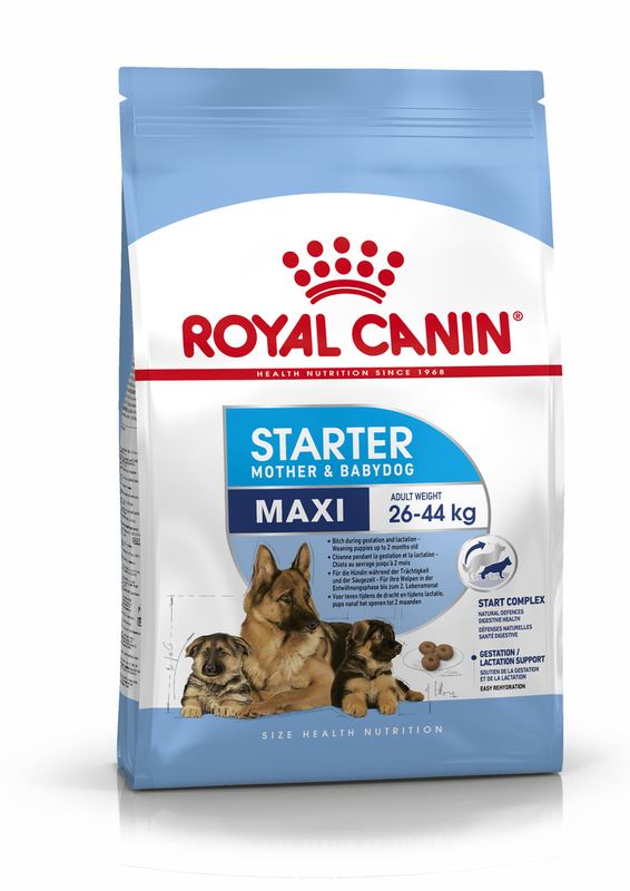 Maxi Starter 4 кг